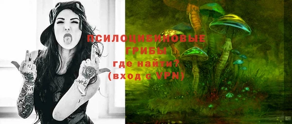 ешки Заводоуковск