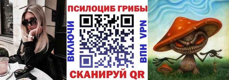 Псилоцибиновые грибы MAGIC MUSHROOMS  наркотики  Харовск 