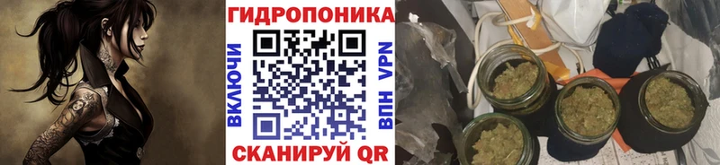 ОМГ ОМГ ТОР  Харовск  Бошки Шишки марихуана 